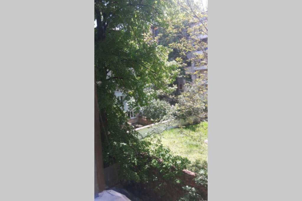 Apartament Asparuh Aktuel *